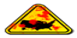 succès